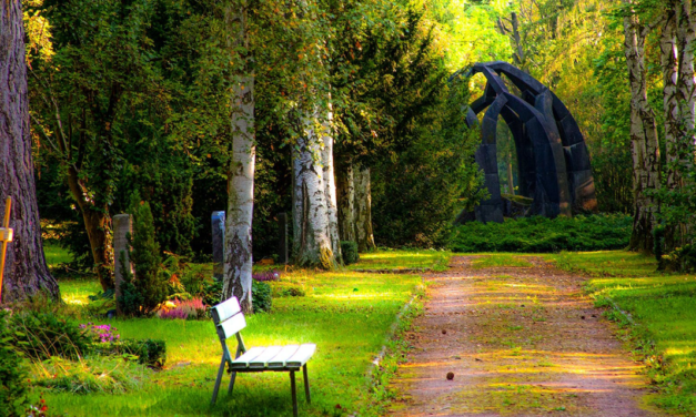 HOW MARKET RESEARCH HELPS SOUTHWEST AIRLINES MONITOR CUSTOMER SERVICE SATISFACTION LEVELS